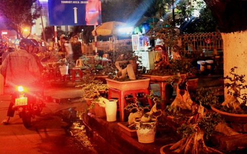 Bán tháo hoa cảnh Tết trước Giao Thừa - ảnh 11